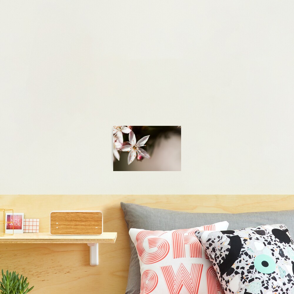 Item preview, Photographic Print designed and sold by joshw.