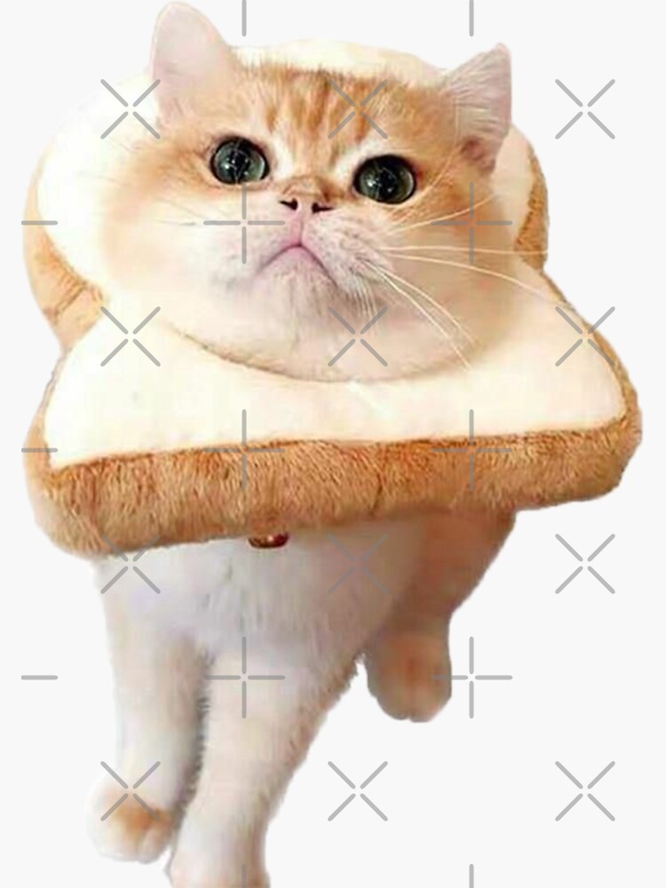 Cat Bread Head Merch Gifts for Sale Redbubble