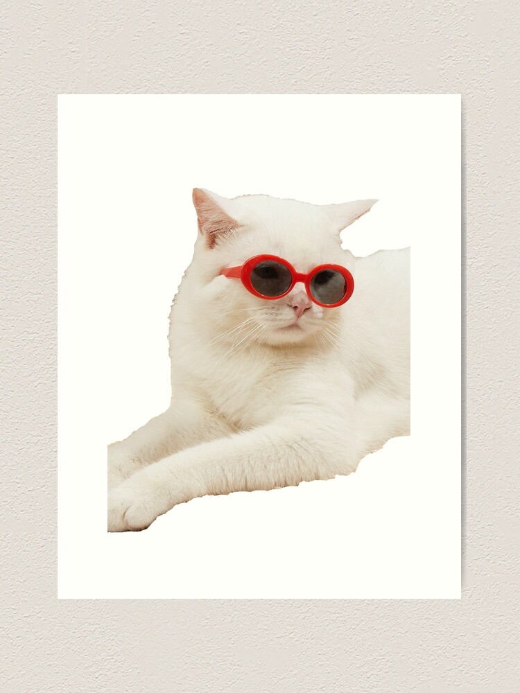 cat with glasses meme Art Board Print by valwerty