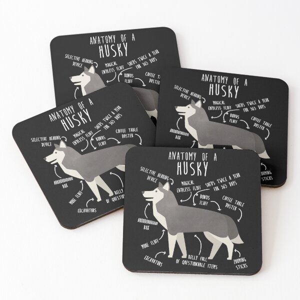 Item preview, Grey Siberian Husky Dog Anatomy designed and sold by Clara Hollins.