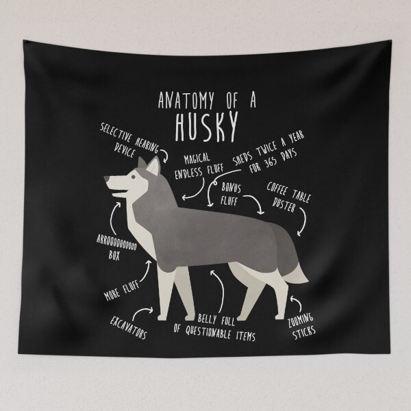 Item preview, Grey Siberian Husky Dog Anatomy designed and sold by Clara Hollins.