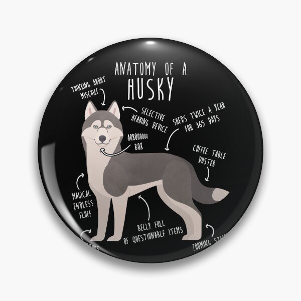 Item preview, Grey Siberian Husky Dog Anatomy designed and sold by Clara Hollins.