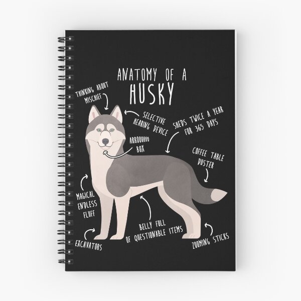 Item preview, Grey Siberian Husky Dog Anatomy designed and sold by Clara Hollins.