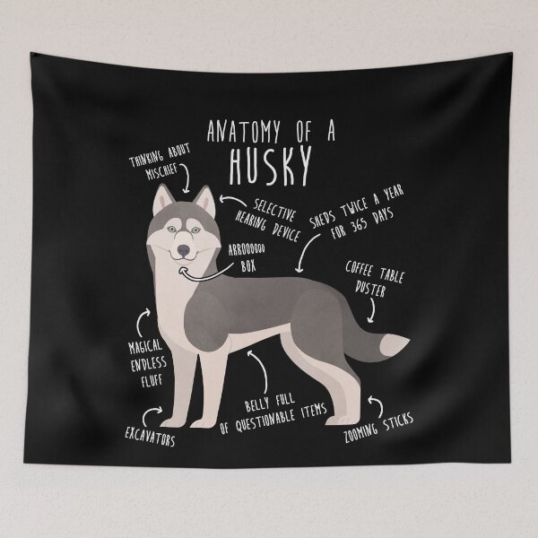 Item preview, Grey Siberian Husky Dog Anatomy designed and sold by Clara Hollins.