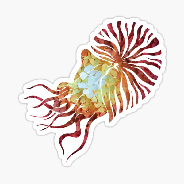 Nautilus on White Sticker
