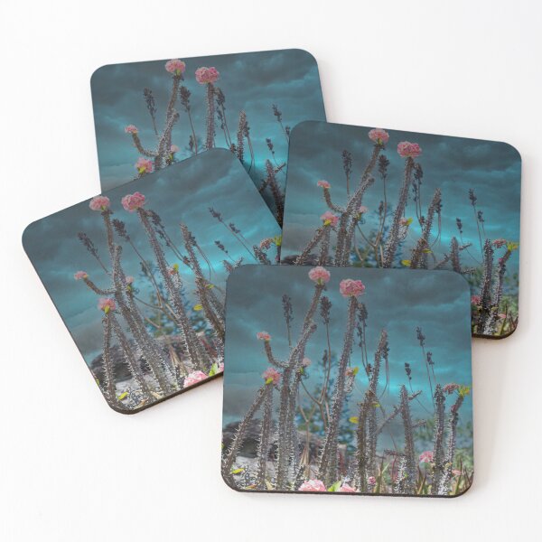 Item preview, Desert Plants Awaiting Rain From Storm designed and sold by houseofhound.