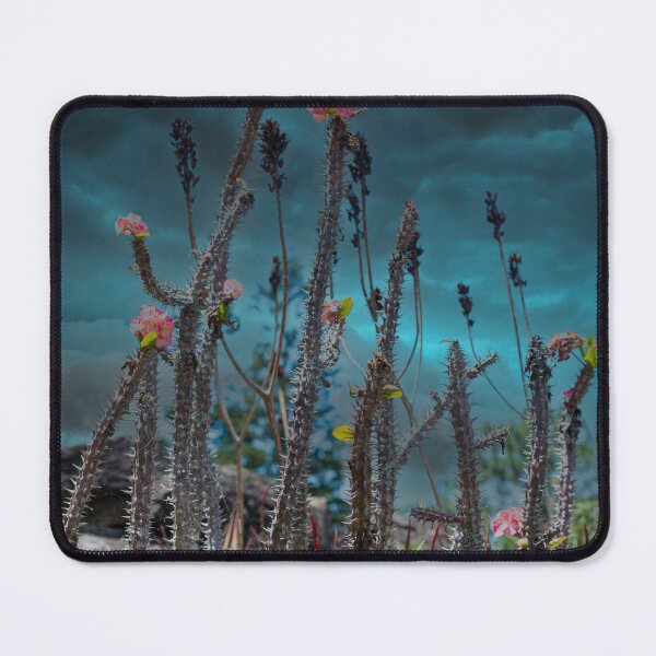 Item preview, Desert Plants Awaiting Rain From Storm designed and sold by houseofhound.