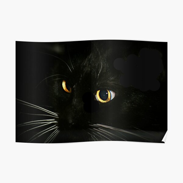 Adopt Me Posters Redbubble - roblox adopt me black cat