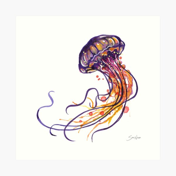 Acuarela de medusas Lámina artística