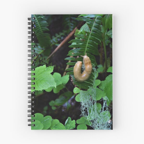 Item preview, Curled Slug on a Leaf designed and sold by DaydreamnD.