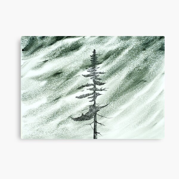 Portrait of an Evergreen in Snowstorm Canvas Print