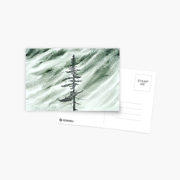 Portrait of an Evergreen in Snowstorm Postcard