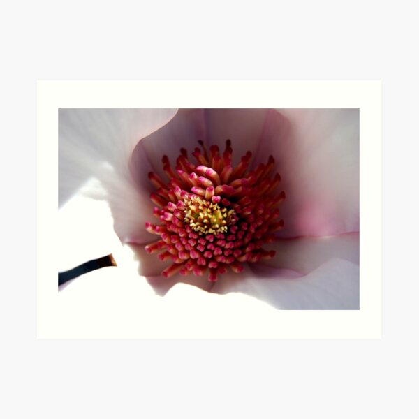 Cherie Amour Art Print