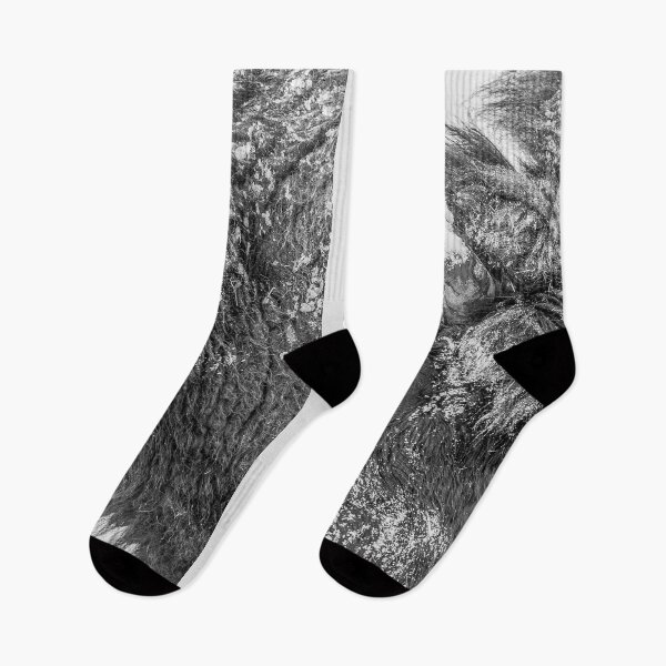 Item preview, Bison in winter black and white designed and sold by Ingo Gerlach.