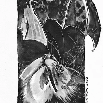 Artwork thumbnail, Bat by Rina Arling