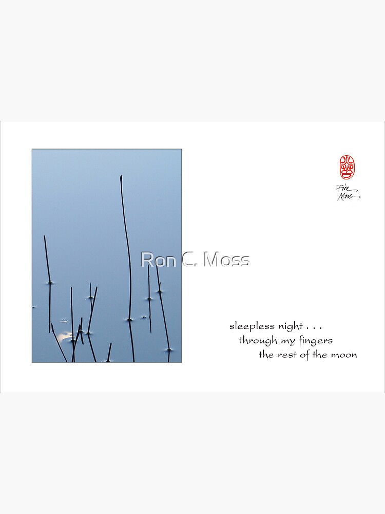 sleepless night by ronmoss