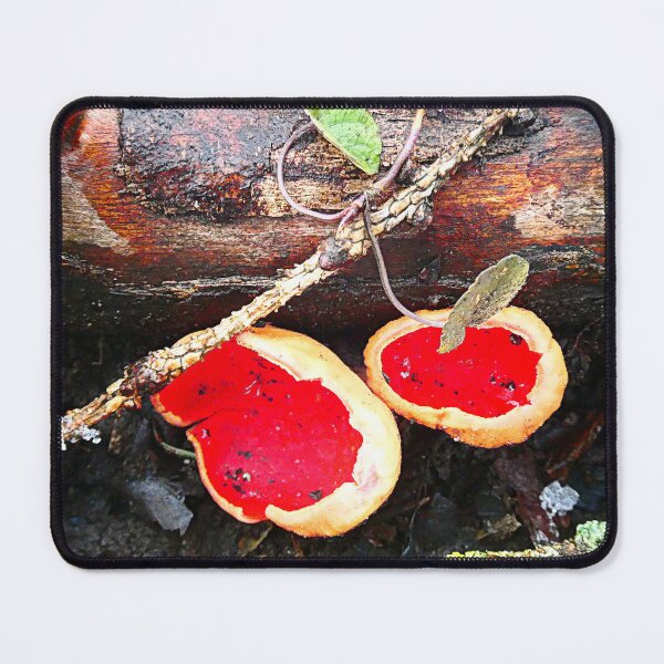 Item preview, Sarcoscypha coccinea designed and sold by angel1.