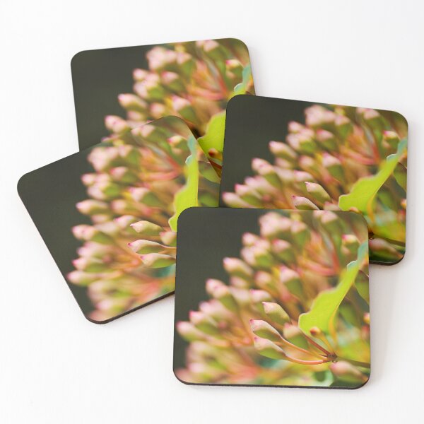 Item preview, Summer Eucalyptus In Buds  designed and sold by Joy Watson - Natural Light Photography .