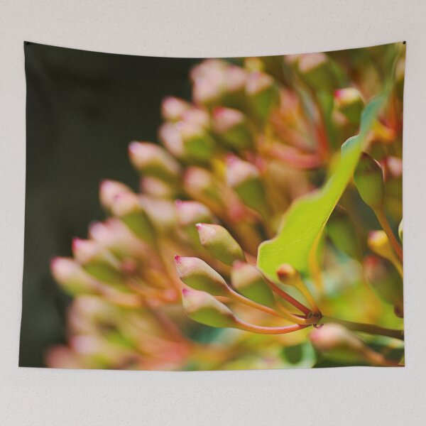 Item preview, Summer Eucalyptus In Buds  designed and sold by Joy Watson - Natural Light Photography .