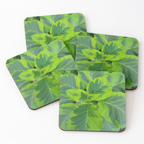 Item preview, Green Foliage 1 designed and sold by sereneL.