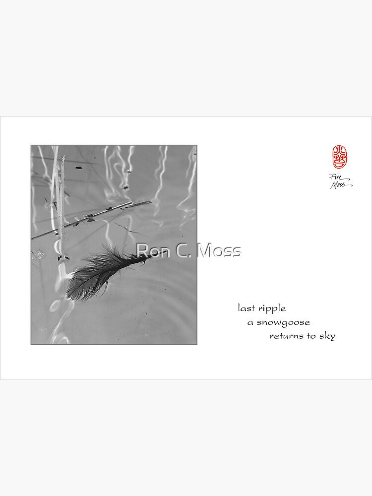 Thumbnail 2 of 2, Greeting Card, last ripple designed and sold by ronmoss.