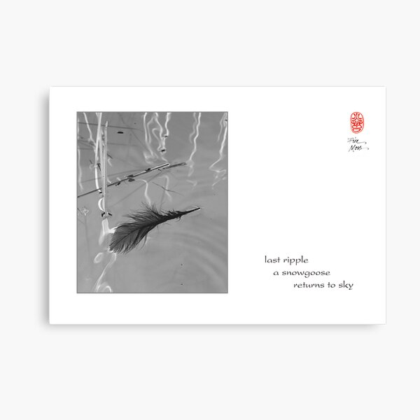 last ripple Canvas Print