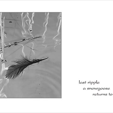 Artwork thumbnail, last ripple by Ron C. Moss