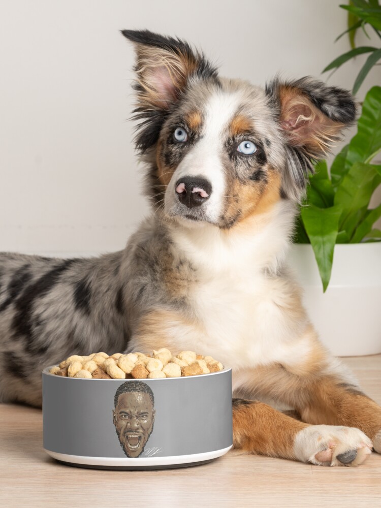 micah parsons scream' Pet Bowl for Sale by santuydsgn