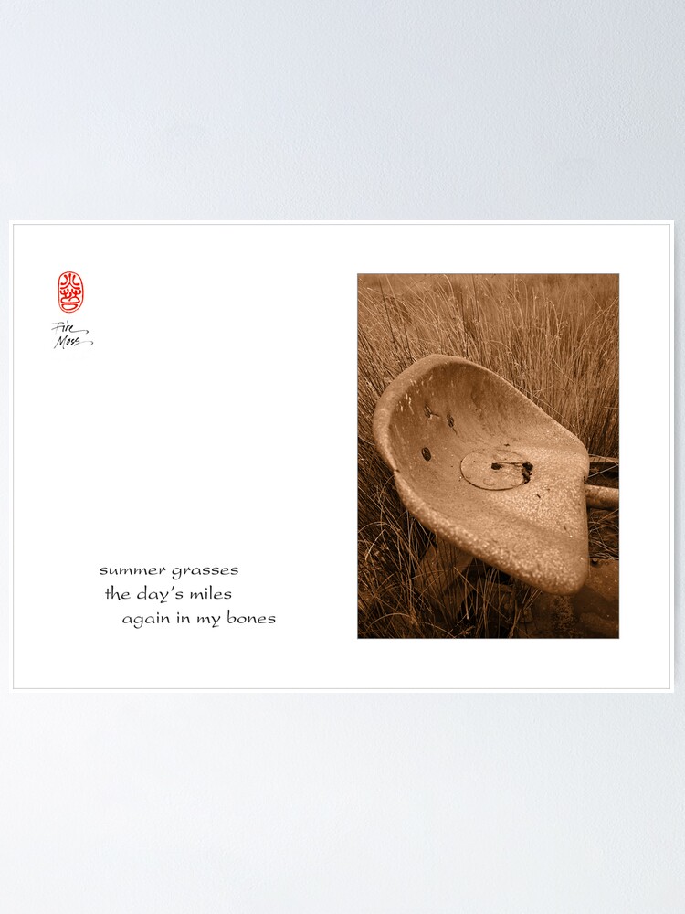 Alternate view of summer grasses Poster