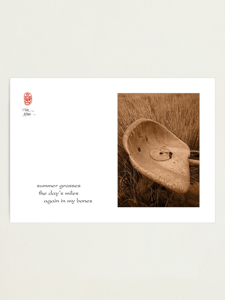 Alternate view of summer grasses Photographic Print