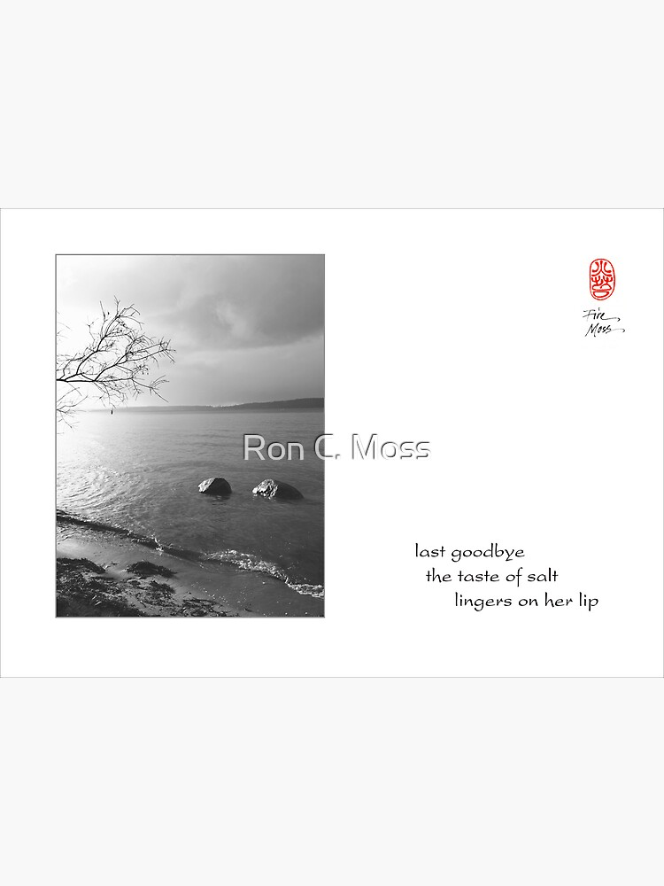 last goodbye by ronmoss