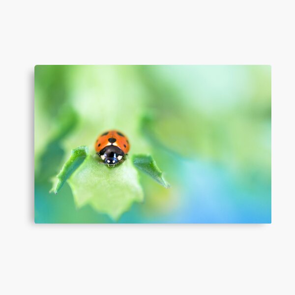 I may not be there yet, but I'm closer than I was yesterday... Metal Print