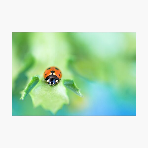 I may not be there yet, but I'm closer than I was yesterday... Photographic Print