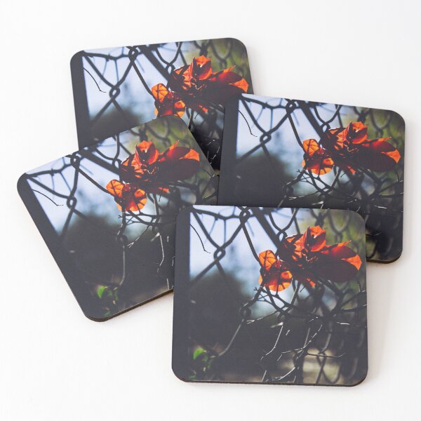 Item preview, Orange Flower designed and sold by mag0215.