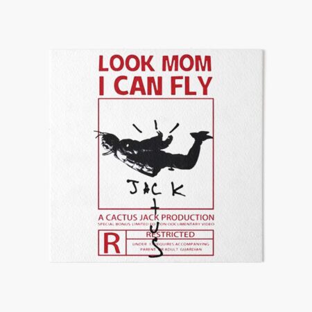 Look Mom I Can Fly White – Skateboard Wall Art – Dekorway