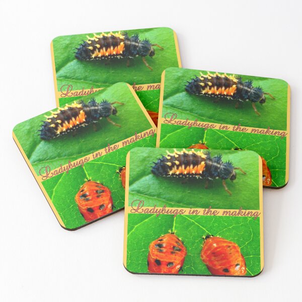 Item preview, Ladybugs in the making designed and sold by angel1.