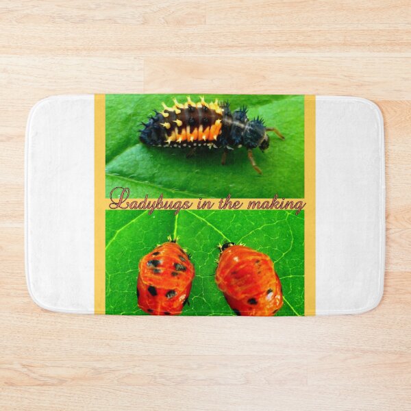 Item preview, Ladybugs in the making designed and sold by angel1.