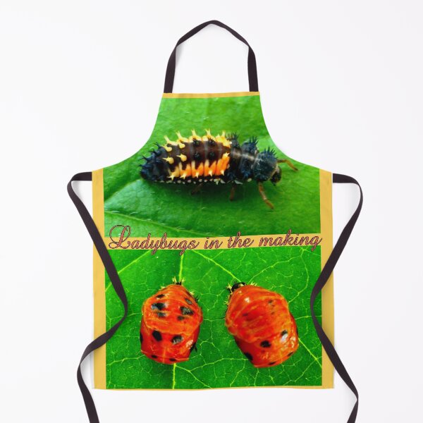 Item preview, Ladybugs in the making designed and sold by angel1.