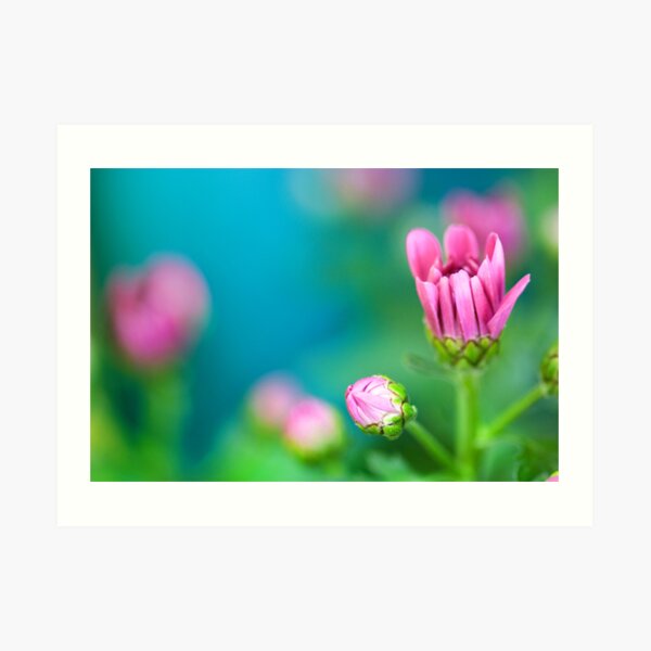 Life is a flower of which love is the honey Art Print