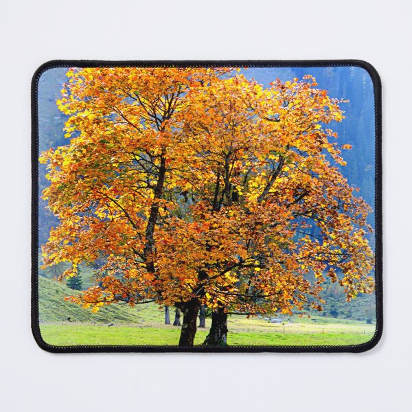 Item preview, Mountain Maple ~ Ahornboden designed and sold by angel1.