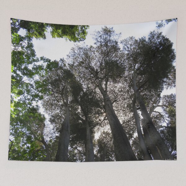 Item preview, Australian trees designed and sold by AHELENE.
