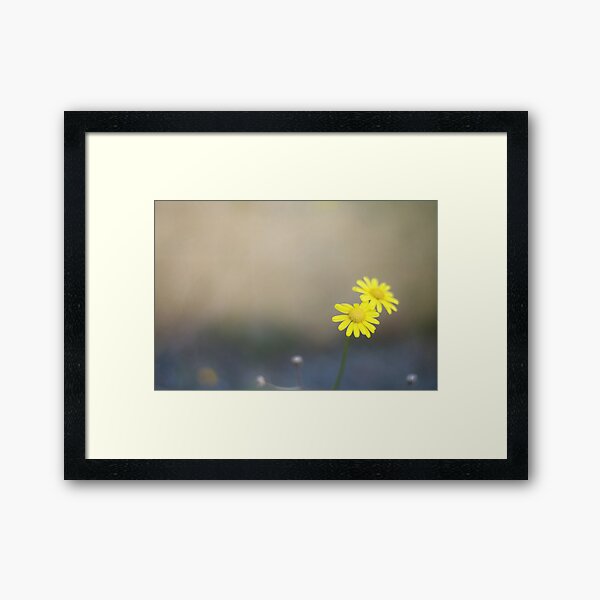 flirt a little... Framed Art Print