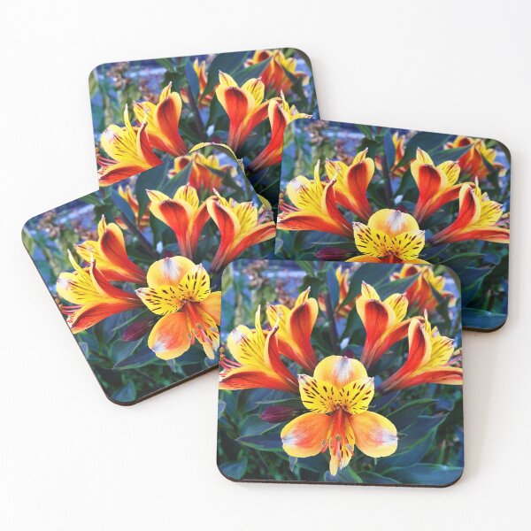 Item preview, Alstroemeria Beautiful vibrant flowers photographic print designed and sold by SpiritedArtwork.