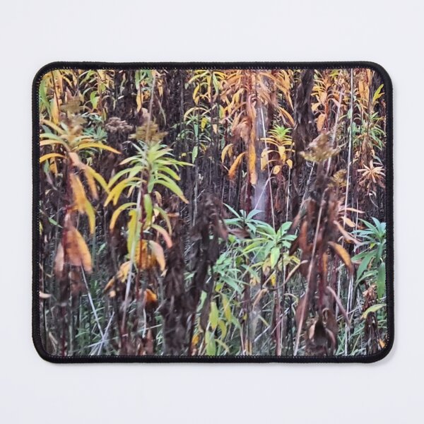 Item preview, Autumn in the Field - Original "Photography of Nature" designed and sold by Istvan Ocztos.