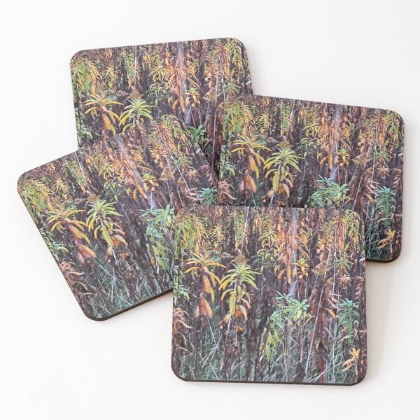 Item preview, Autumn in the Field - Original "Photography of Nature" designed and sold by Istvan Ocztos.