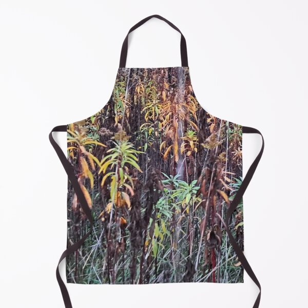 Item preview, Autumn in the Field - Original "Photography of Nature" designed and sold by Istvan Ocztos.