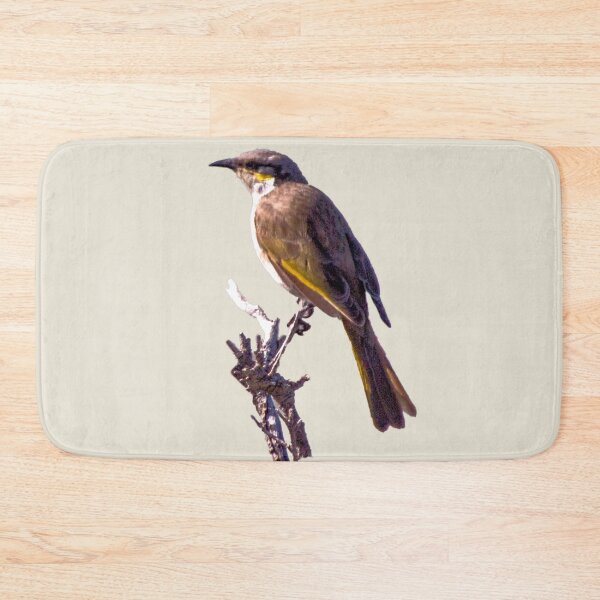 Item preview, Singing honeyeater designed and sold by indiafrankk.