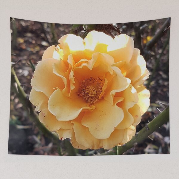Item preview, Beautiful Autumn flower designed and sold by SpiritedArtwork.