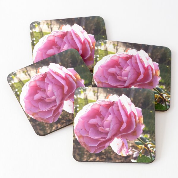 Item preview, Beautiful Autumn Rose designed and sold by SpiritedArtwork.
