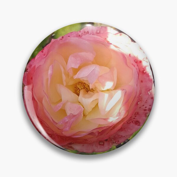 Item preview, Beautiful rose photography designed and sold by SpiritedArtwork.